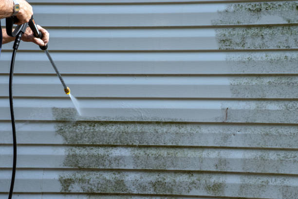 Best Demolition Debris Removal  in Temple Terrace, FL
